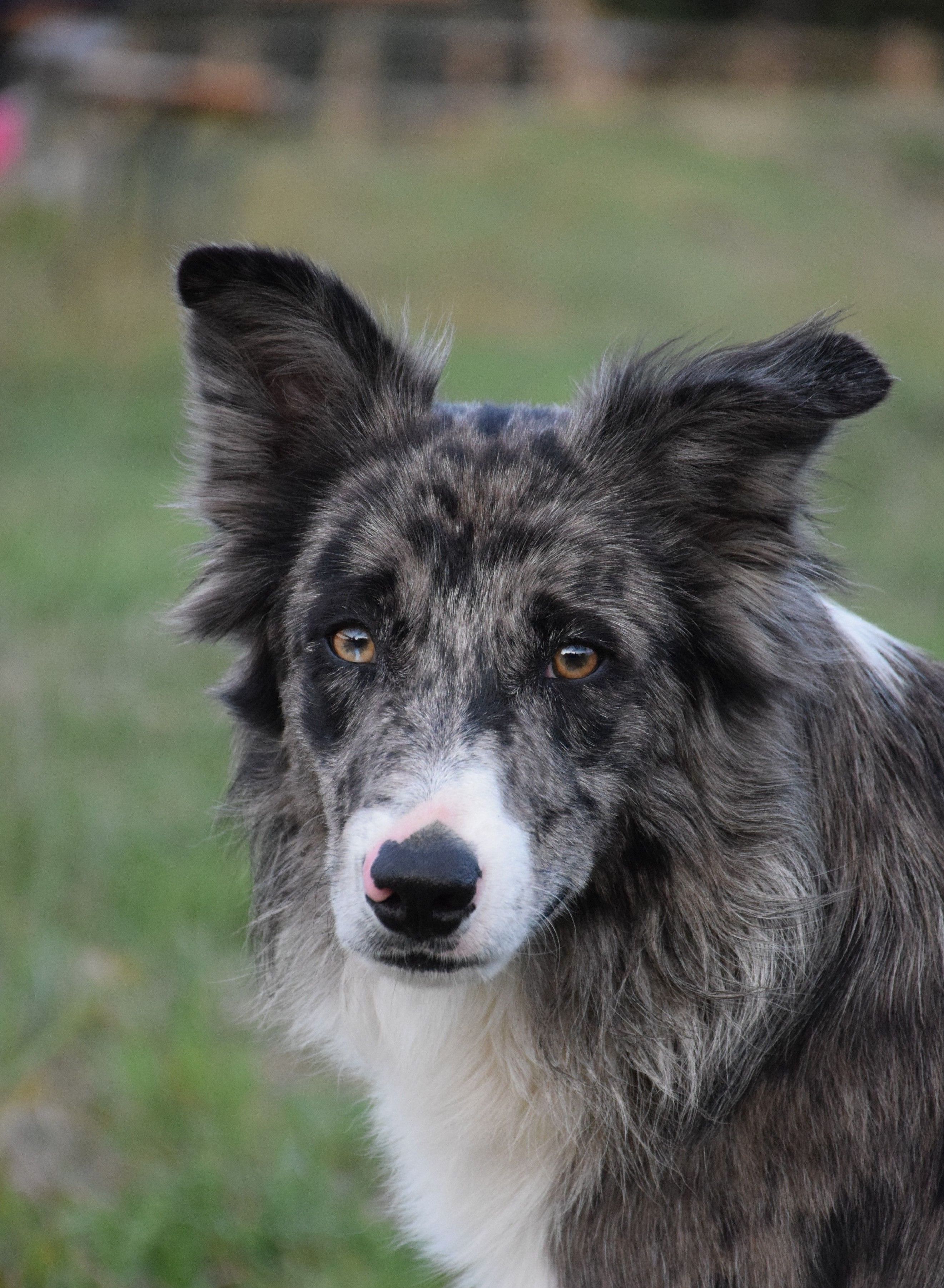 blockValue.7e455325-4cc3-418d-9842-c71d17e7ebab.url_img_1_alt